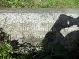 image of grave number 149544
